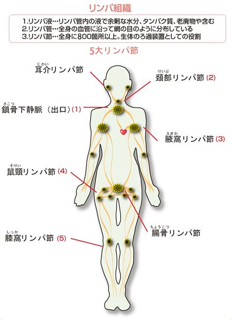 オイルリンパ 諫早市|諫早市でリンパマッサージが人気のサロン｜ホットペッパービュ